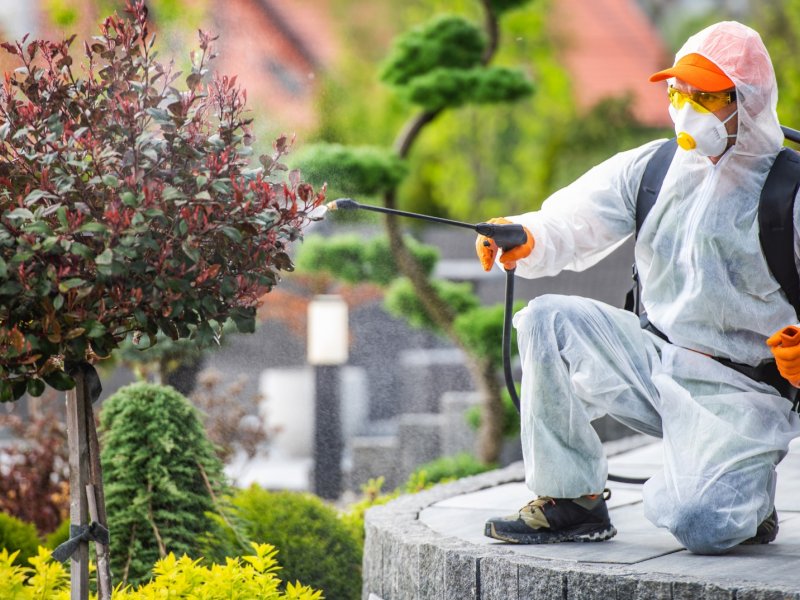 Kulp Haşere İlaçlama