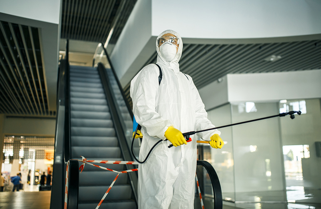 Kulp Haşere İlaçlama